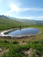 BELLE BOLLE IN SALITA