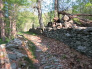 Tratto della mula x Chionea