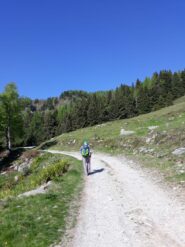 in salita lungo la sterrata per Pian Croesio