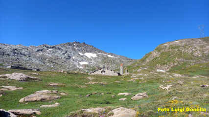 Il malamot dai fortini