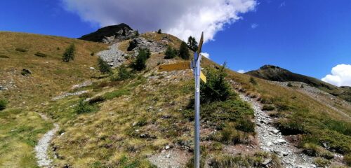 Bivio quota 2400 m. 