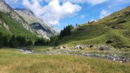partenza dalle grange Argentera verso le grange Clotes