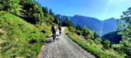 Asfalto tranquillo verso Murenz
