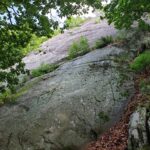 Le vie sulla destra sono veramente piene di muschio: peccato!