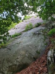 Le vie sulla destra sono veramente piene di muschio: peccato!