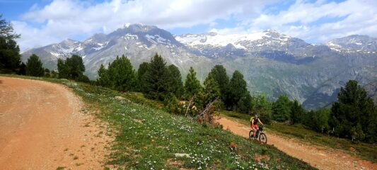 Sterrato in ottime condizioni