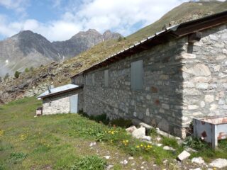 Alpeggio appena usciti dal bosco