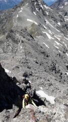 sulla cresta al dente centrale..