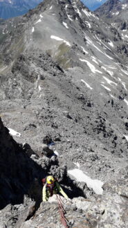 sulla cresta al dente centrale..