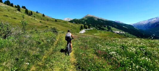 Strada Provinciale in vista