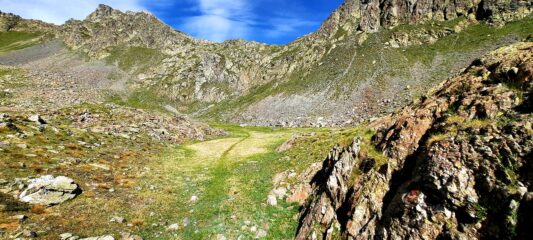 Sui ripiani superiori