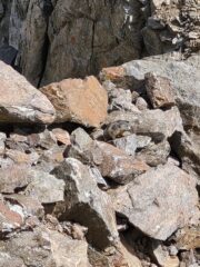 La marmotta del buco