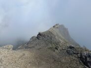 Cresta vista dalla punta_2