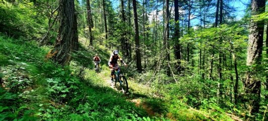 Sullo splendido De Veis