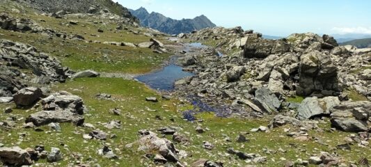 Pianoro aquitrinoso.