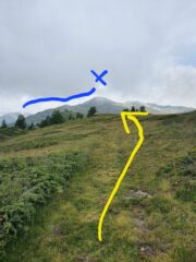 Salendo dal col du Bard, usciti dal bosco e giunti al Col Boromein, occorre tenere la sinistra e salire sul filo di cresta fino al colle e la punta Fetita (tutto su sentiero, no indicazioni, solo bolli gialli e frecce su sassi)