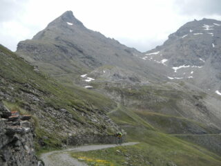 Sullo sfondo il Passo della Beccia