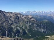 Ecrins dalla cima