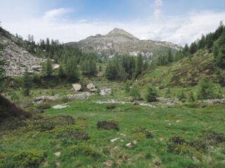 Cima di Canogia vista dal sentiero tra la Forcola e la diga