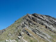 Cresta Sud e cima