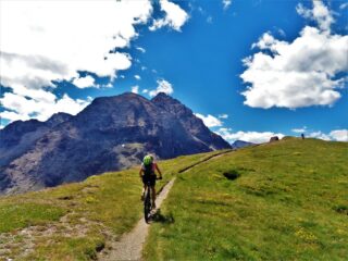 Il sentierino finale che conduce in cima
