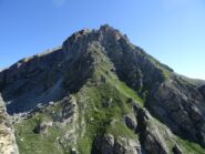 il vicino Buch des Sparviers