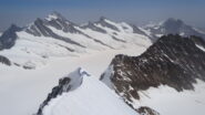 Cresta di salita finale dalla vetta del Monch. 