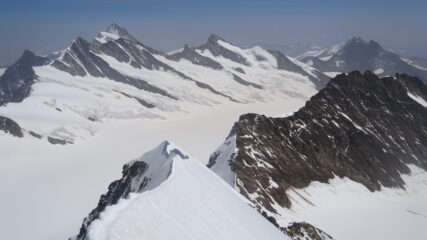 Cresta di salita finale dalla vetta del Monch. 