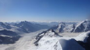 Aletschgletscher dalla vetta 