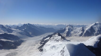 Aletschgletscher dalla vetta 
