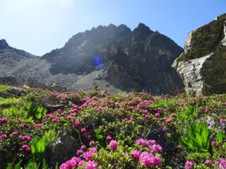 la Jarea dal sentiero delle Giargiatte