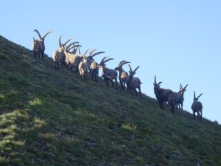 incontri prima della cima
