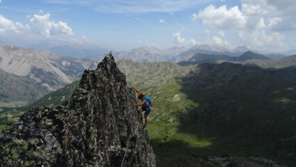 Estetica lama finale 