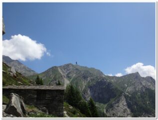 Aquila sull'alpeggio di Ponciagna