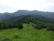 I pendii prativi sotto la vetta del Monte Orocco