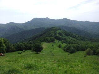 I pendii prativi sotto la vetta del Monte Orocco