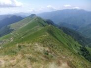 Crinale dal Monega al Carmo di Brocchi