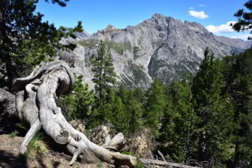 Scendendo verso il Colle della Scala