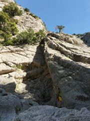 Felicità nel trovare l'attacco