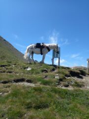 Colle del Ferro