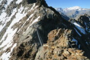 il ponte tibetano