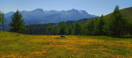 meteo fotonico