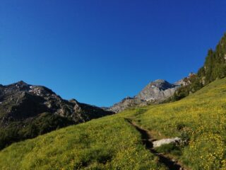 Traverso verso il bivio per il Colle Manzol, con la Meidassa in fondo 