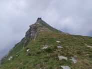 La cima di Pietramorta vista dal suo breve crinale.