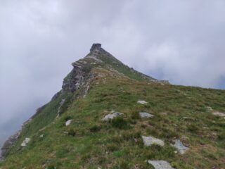 La cima di Pietramorta vista dal suo breve crinale.