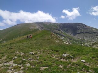 Il tratto che separa il Colle del Pas da Cima Pian Ballaur