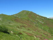 rododendri sul lato NE della P.ta dell'Omo