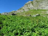 Alpe Casias