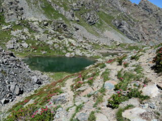 Laghetti del Turlo