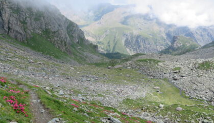Scendendo al Pian degli Alamant